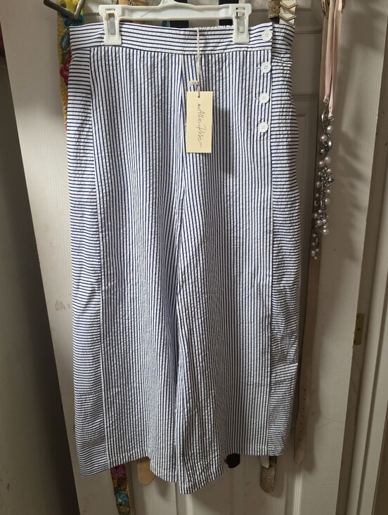 Pants - Womens Blue and White Striped Casual Pants